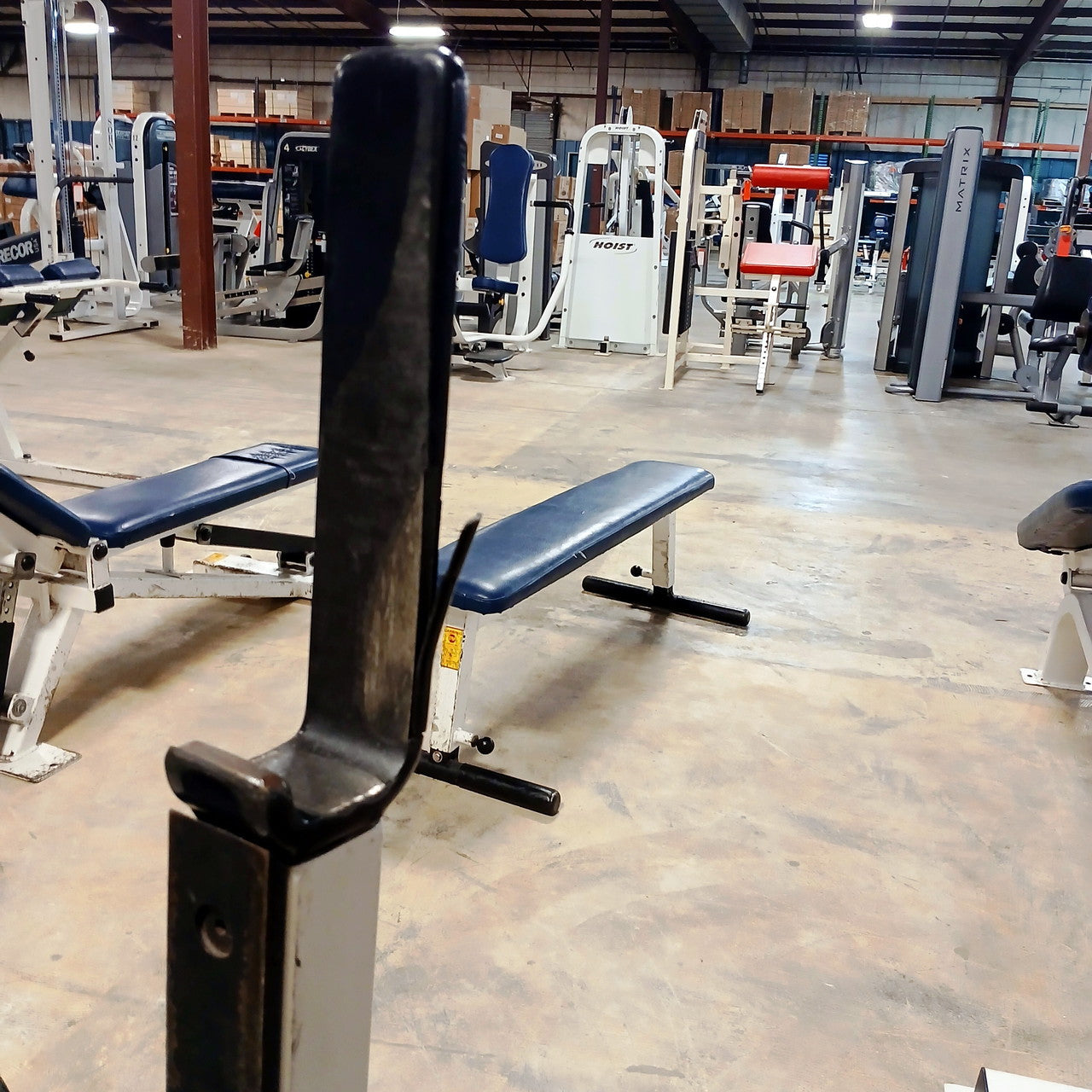Olympic Flat Bench