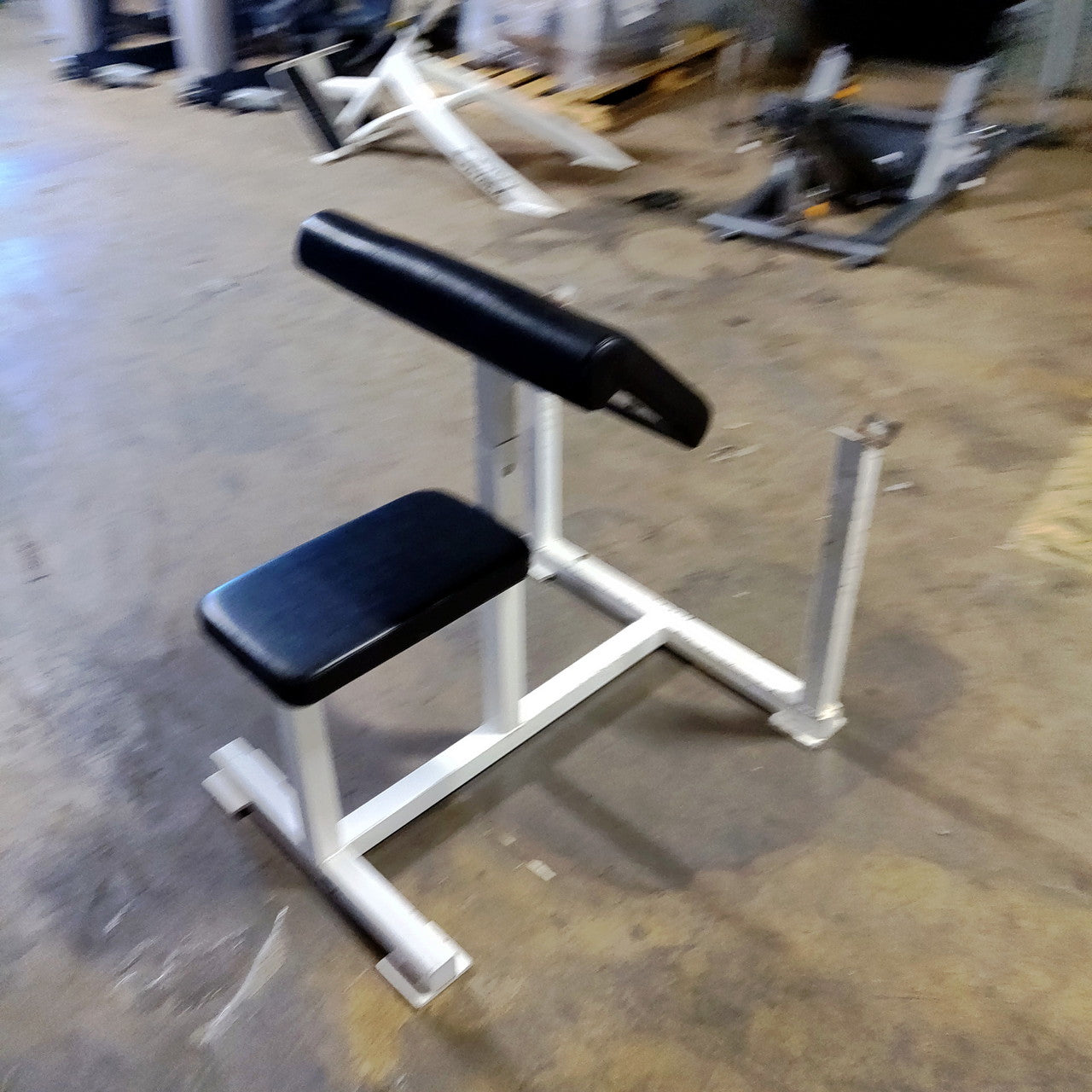 Preacher Curl Bench