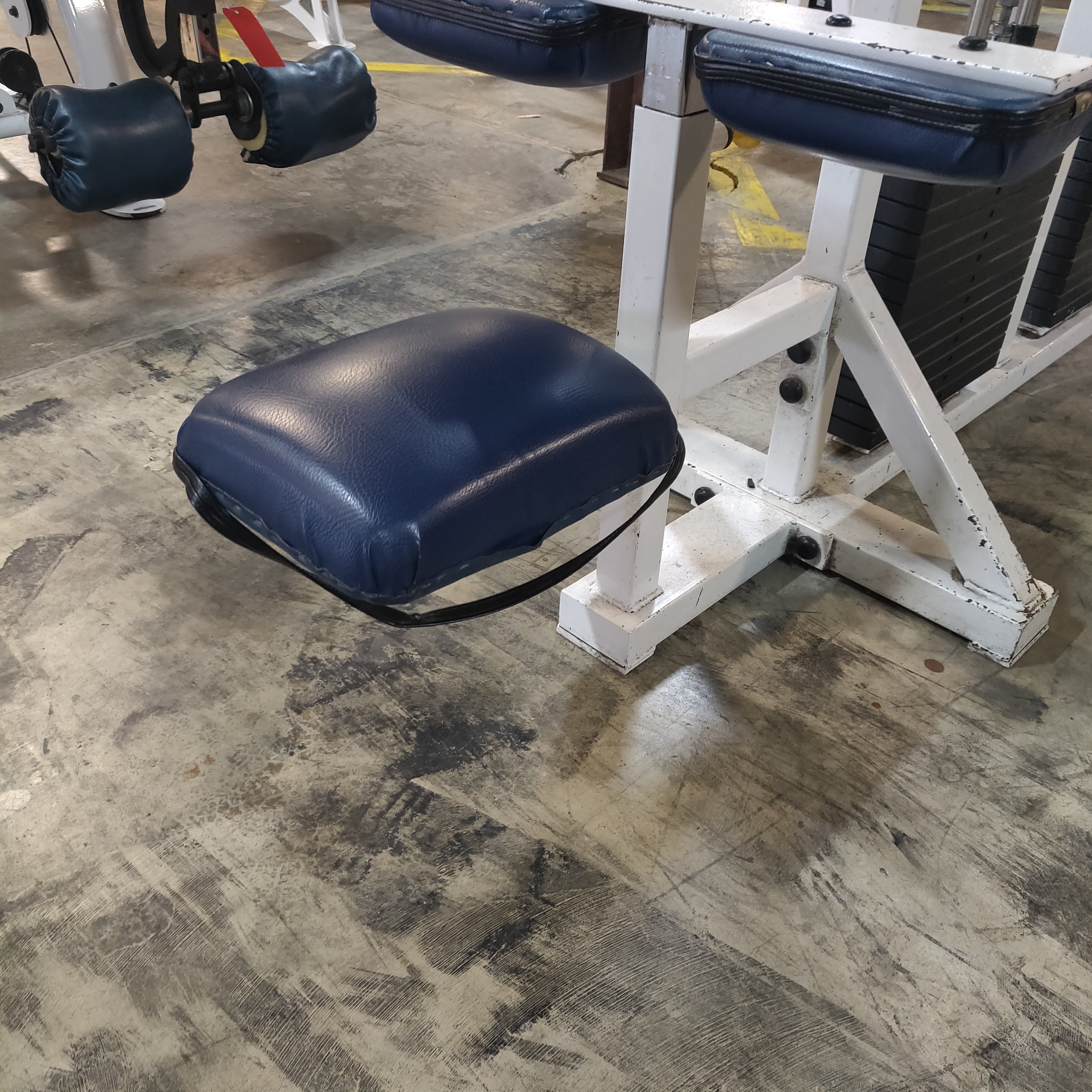 ProMaxima Two Stack Lat Pulldown and Low Row