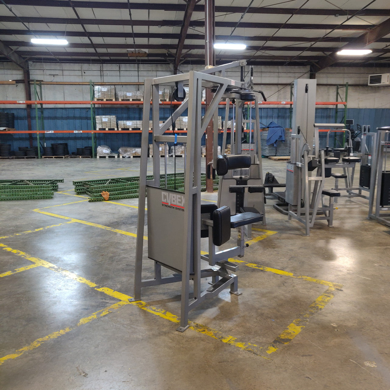 Rare Cybex Classic Rotary Torso