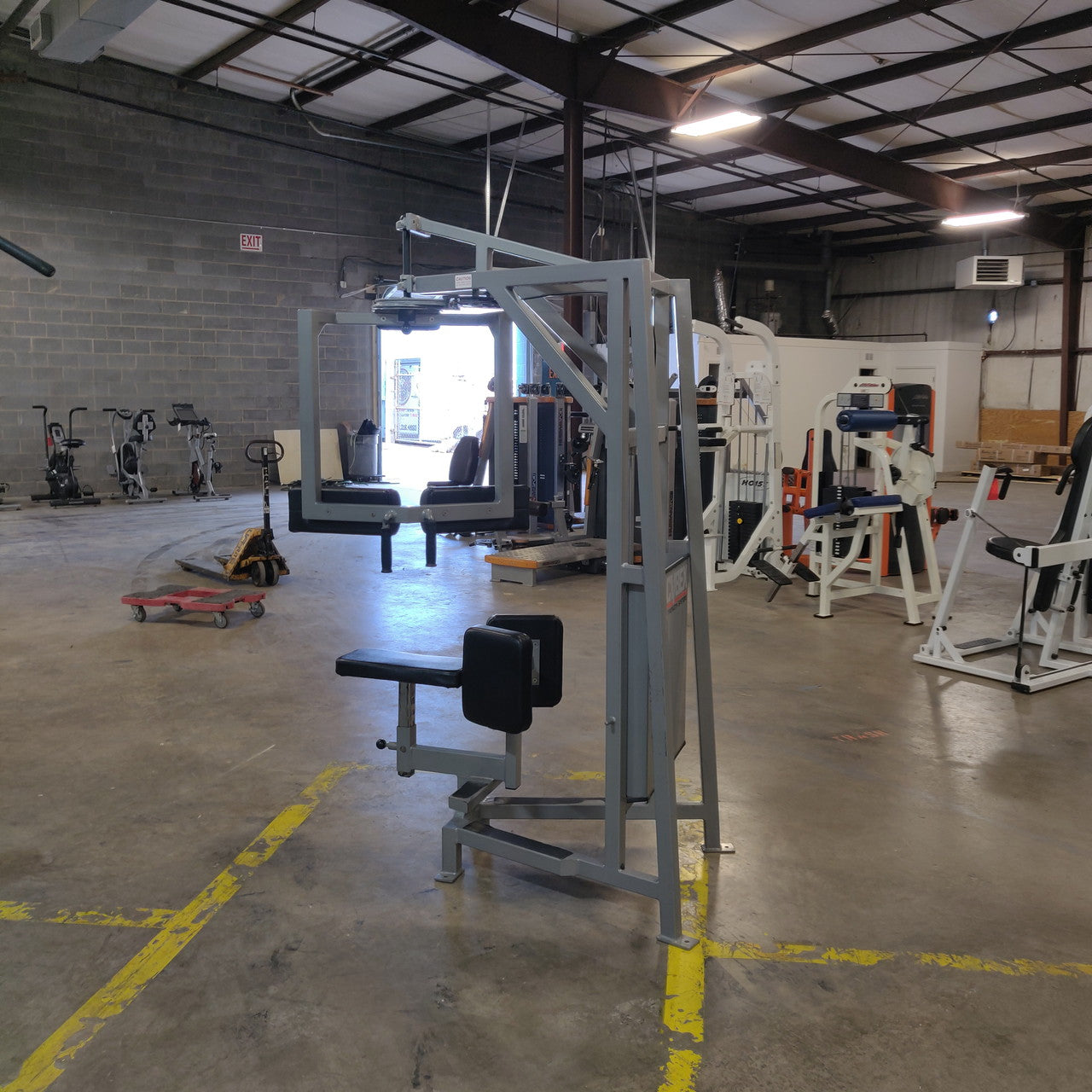 Rare Cybex Classic Rotary Torso