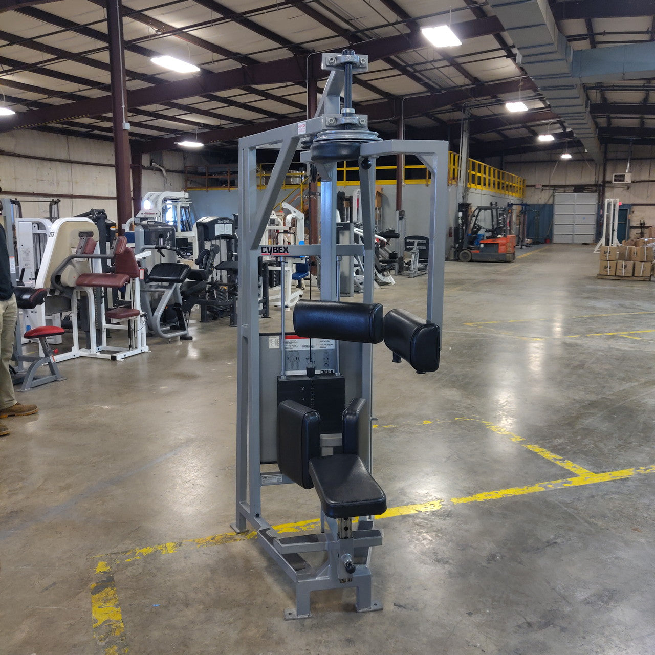 Rare Cybex Classic Rotary Torso