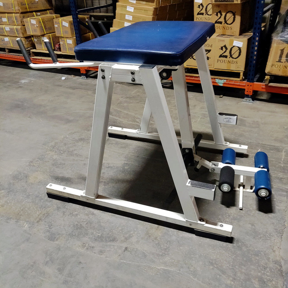 Buy Reverse Hyper Machine | Lower Back & Rehab Strength - Freedom ...