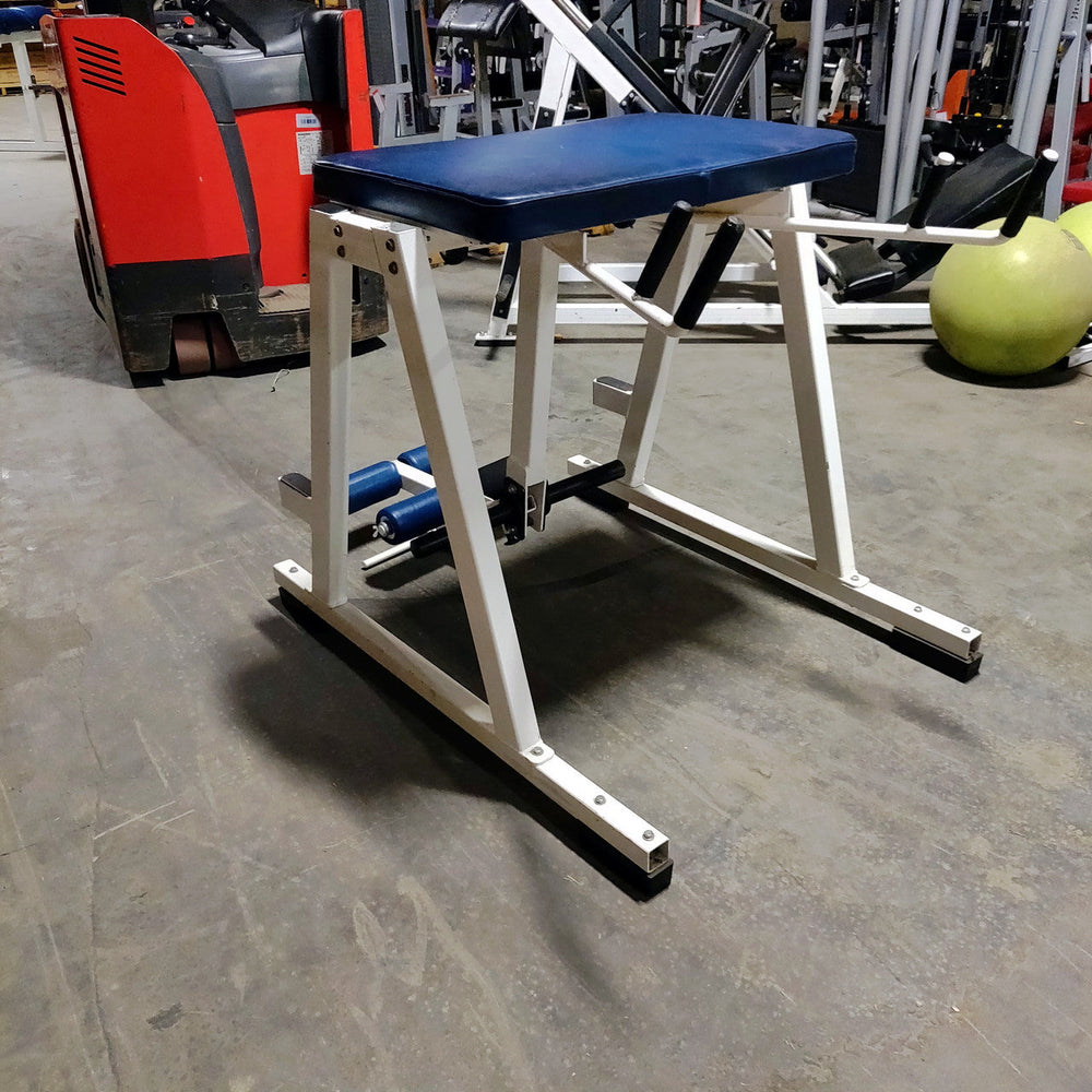 Affordable Reverse Hyper Buy Reverse Hyper Machine | Lower Back & Rehab Strength - Freedom ...