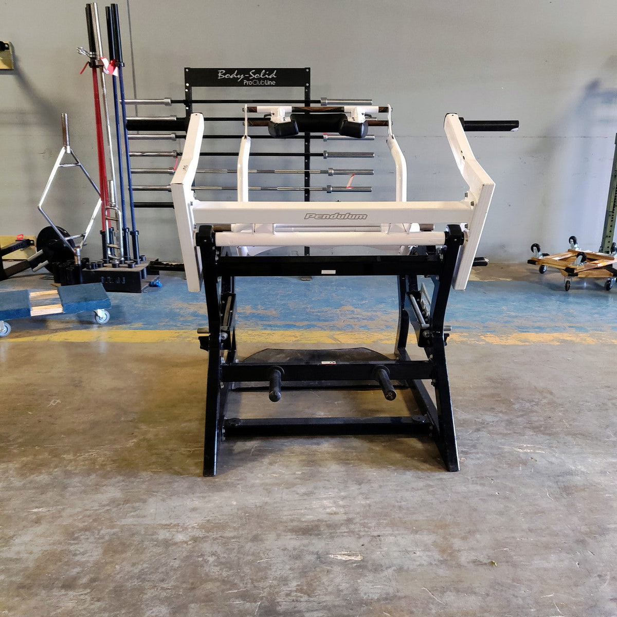 Rogers Pendulum Power Squat Pro