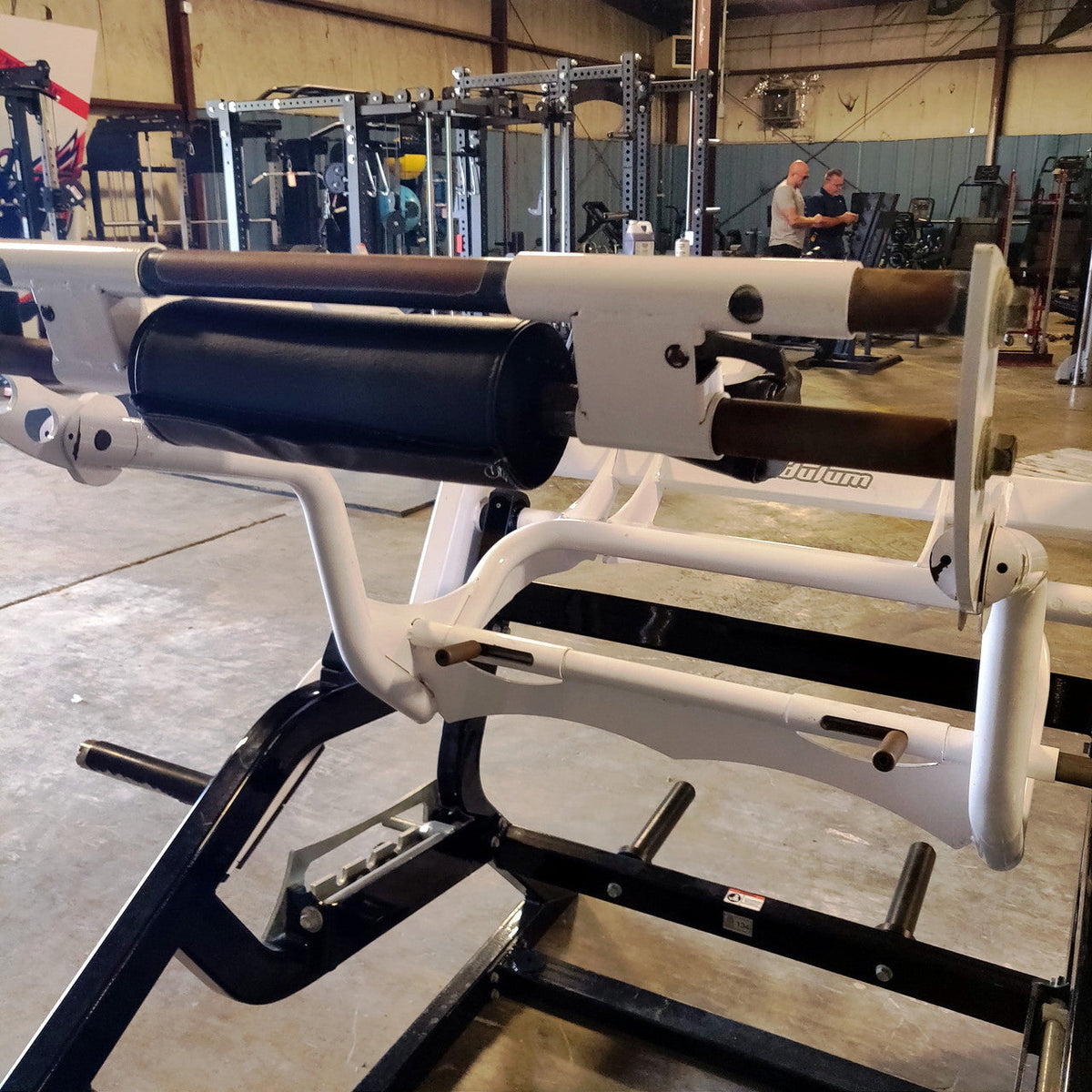 Rogers Pendulum Power Squat Pro