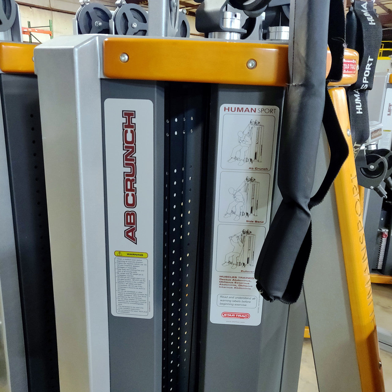 Star Trac Humansport Arm Curl Ab Bench