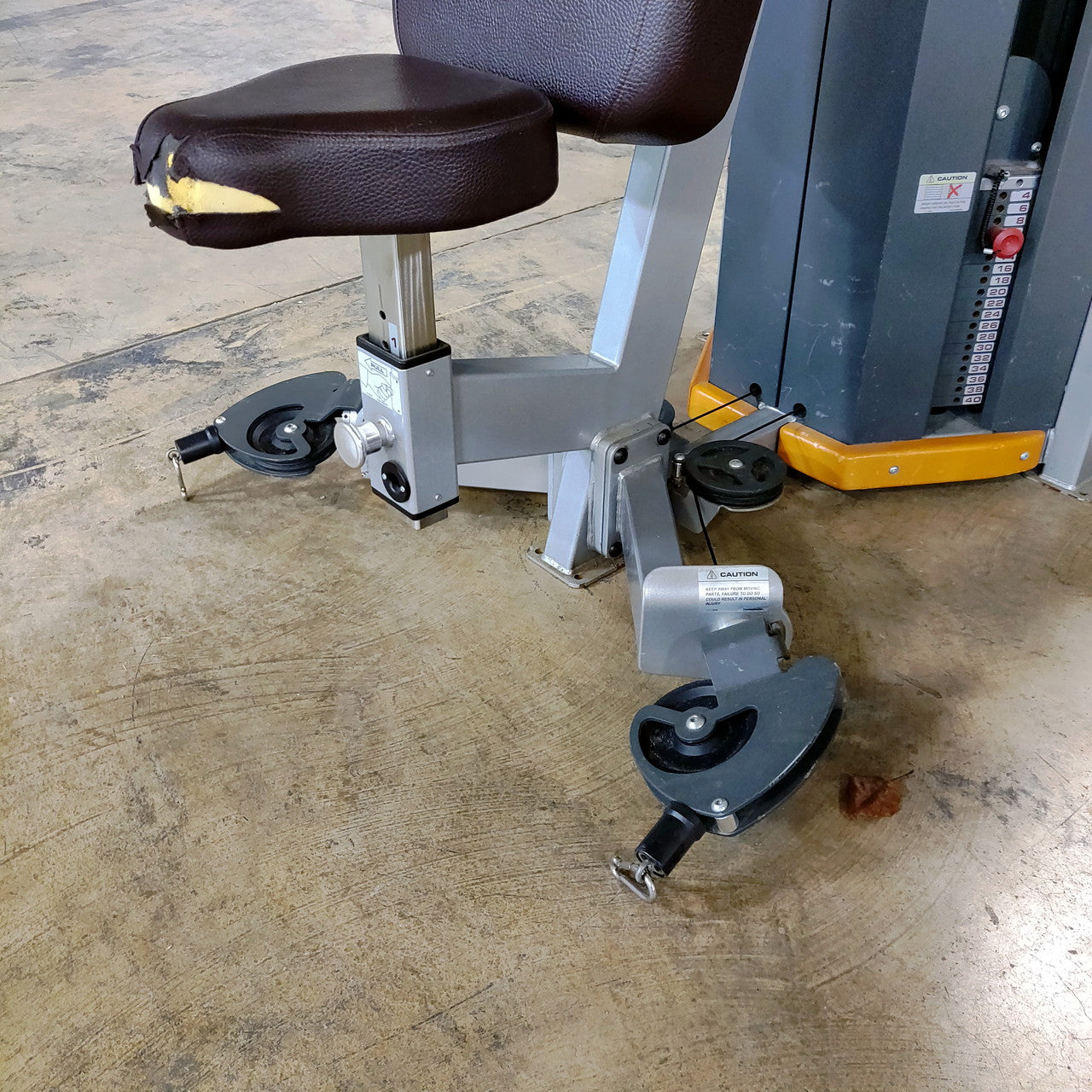 Star Trac Humansport Arm Curl Ab Bench