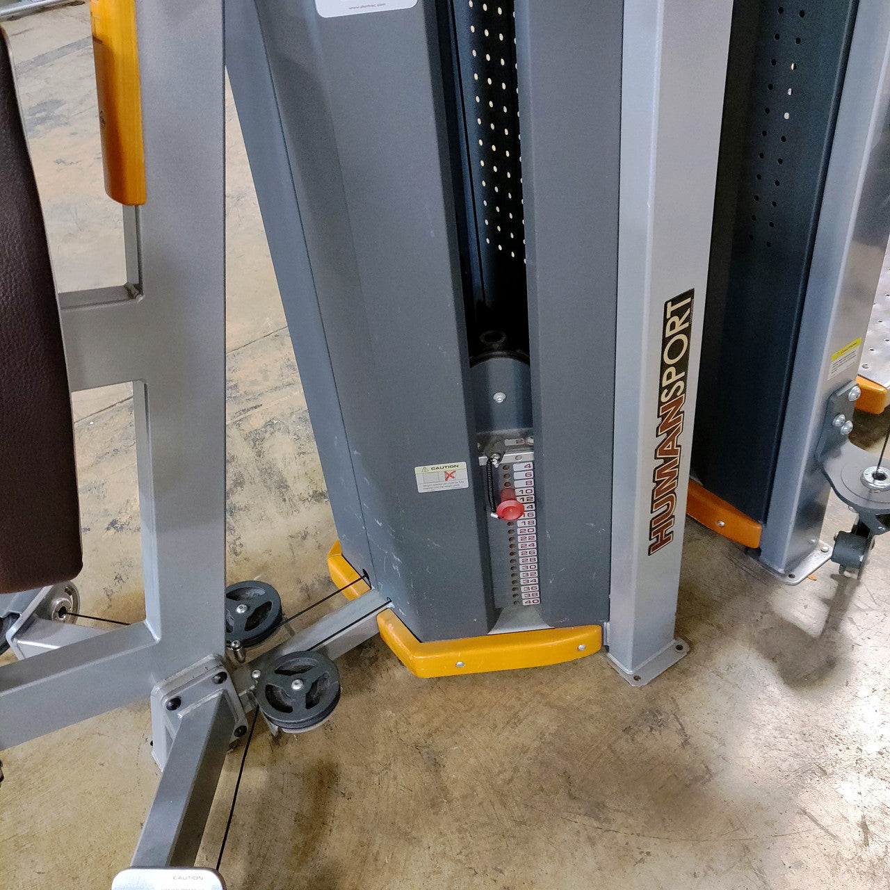 Star Trac Humansport Arm Curl Ab Bench