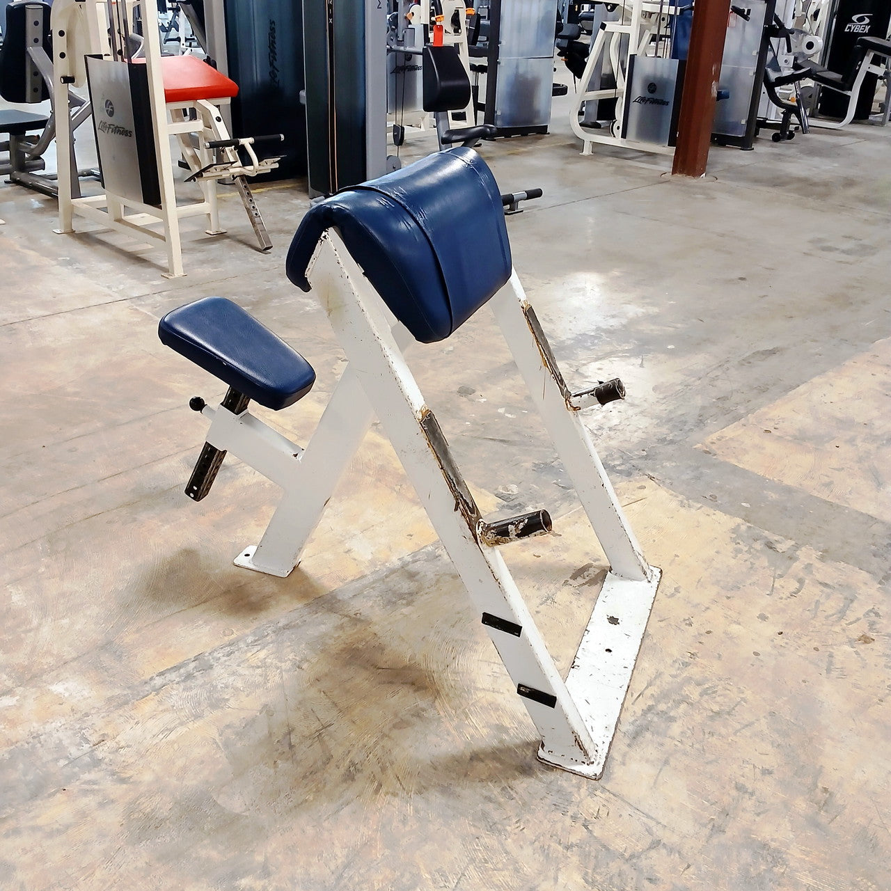 Streamline Preacher Curl Bench