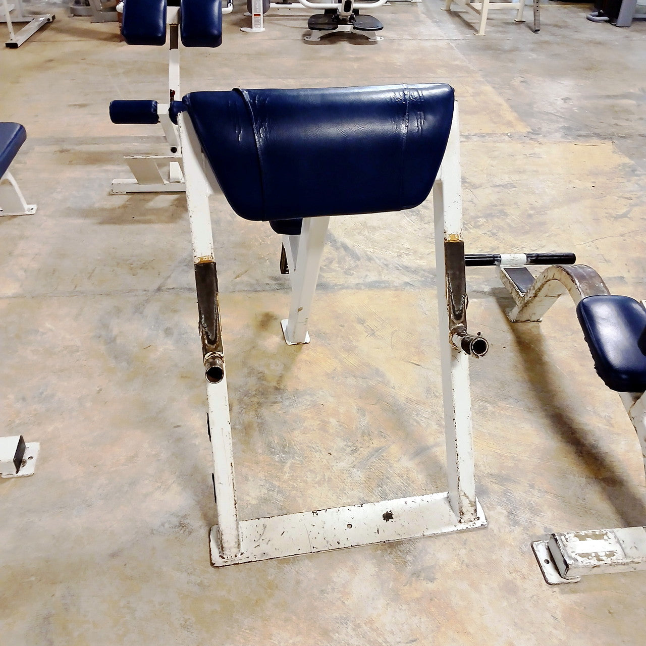 Streamline Preacher Curl Bench