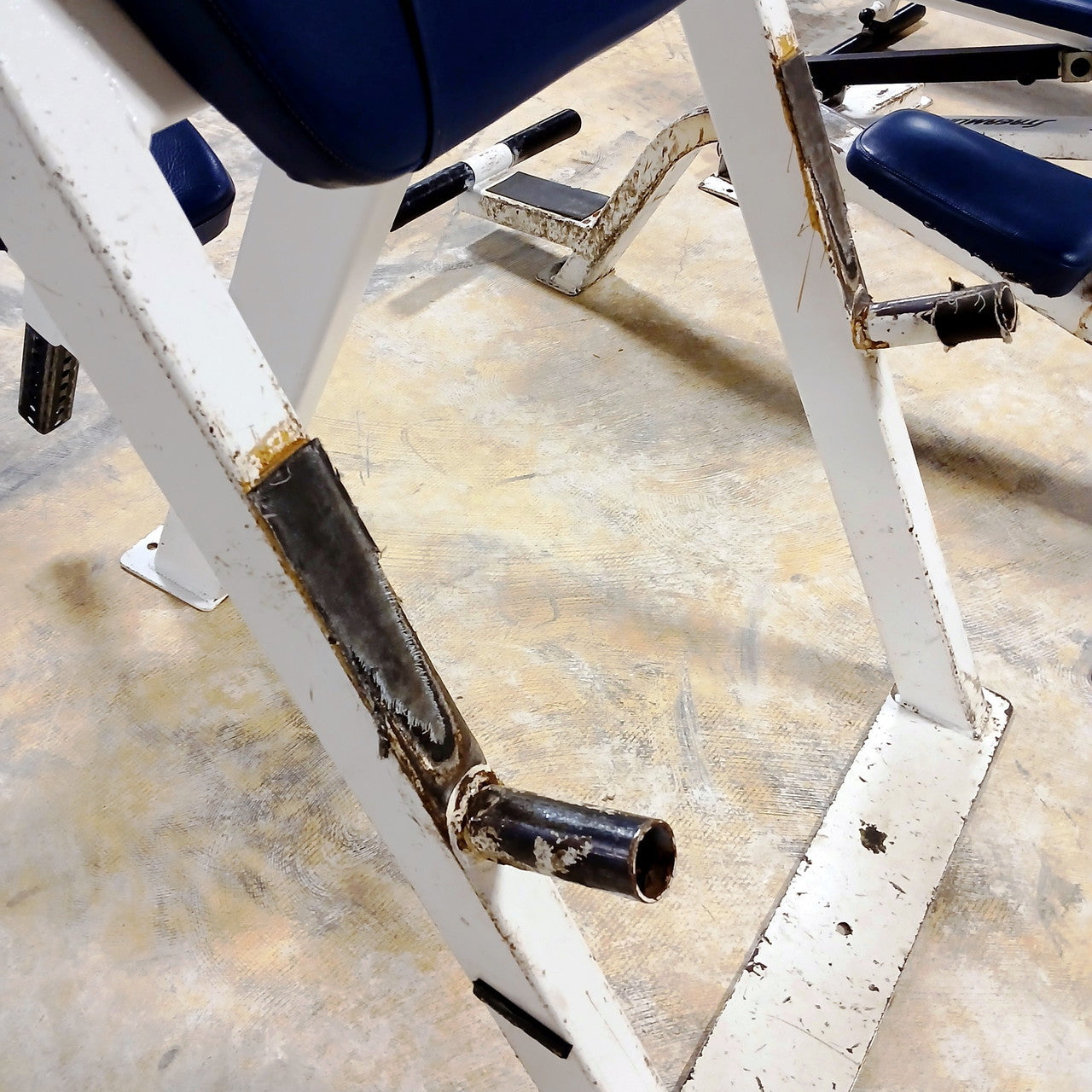 Streamline Preacher Curl Bench