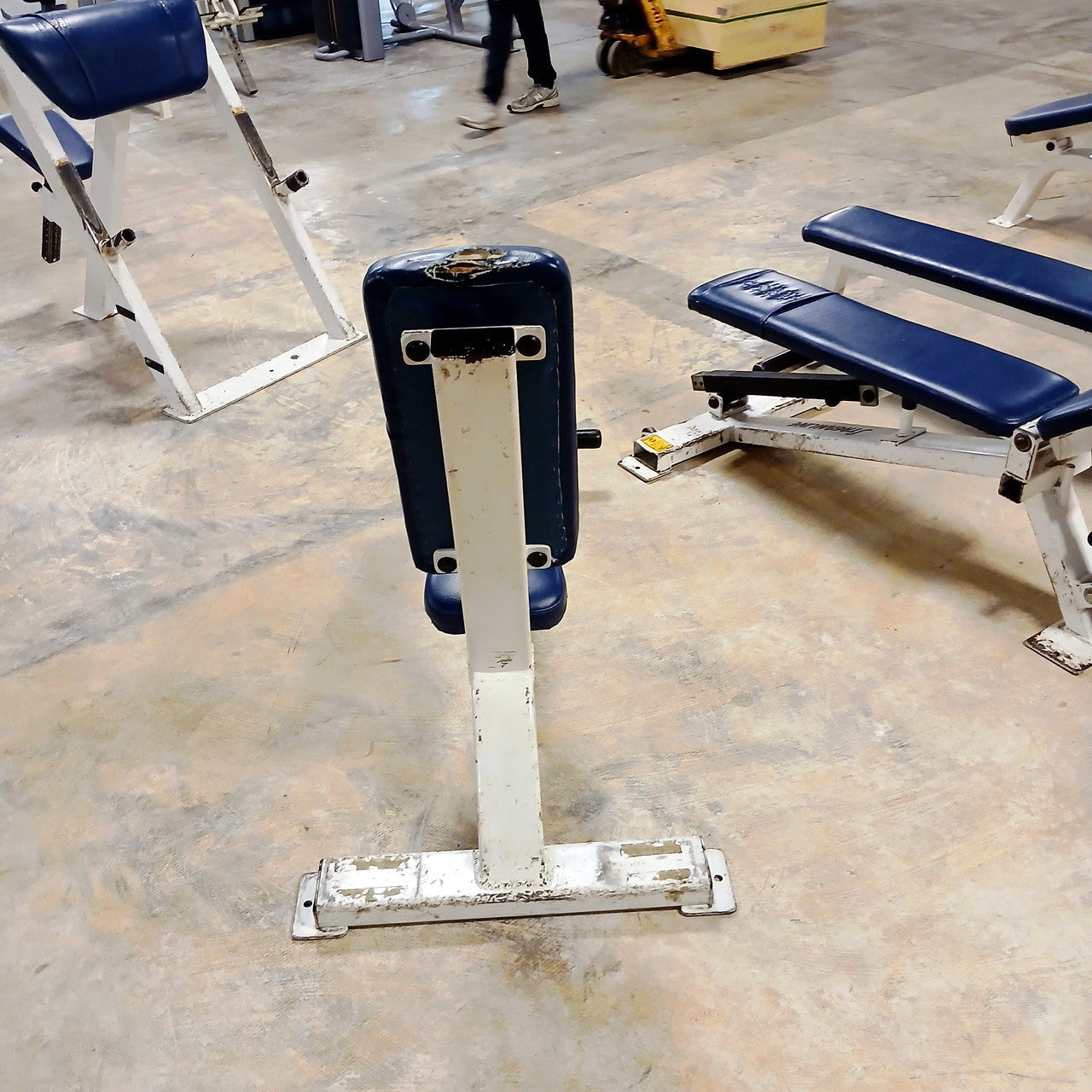 Streamline Upright Utility Bench with Foot holds