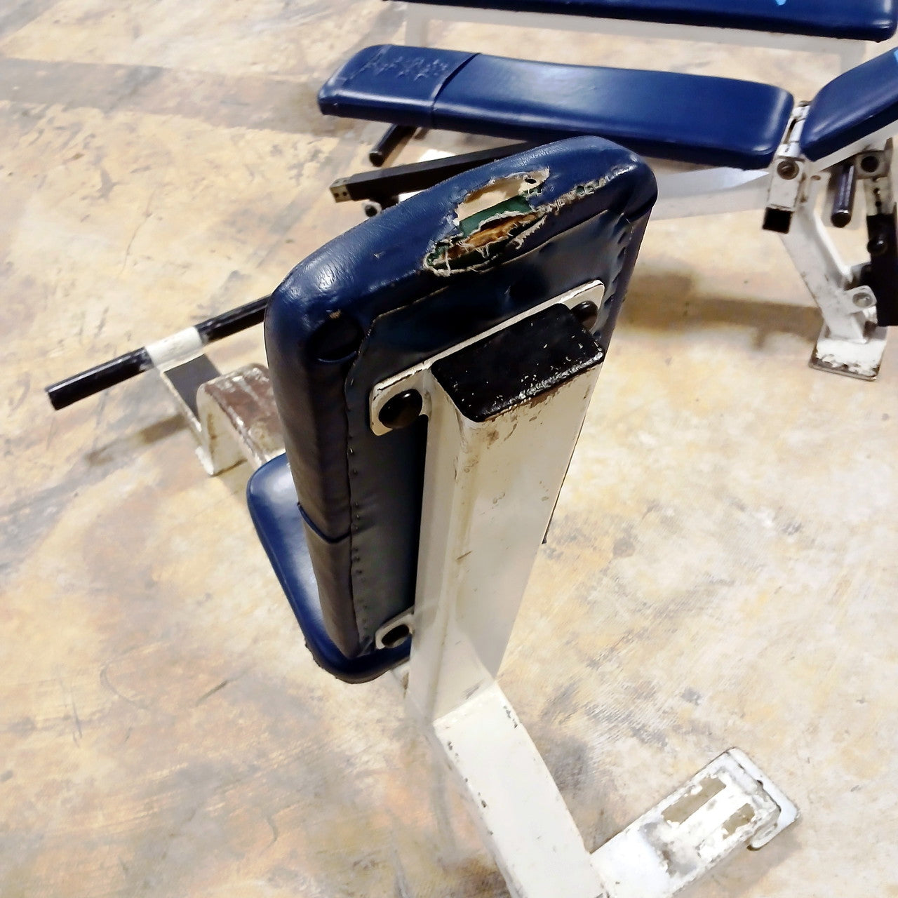 Streamline Upright Utility Bench with Foot holds