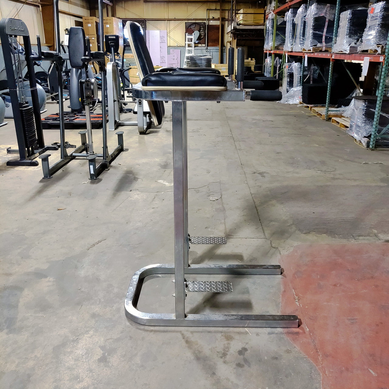 Vertical Knee Raise and Dip Station
