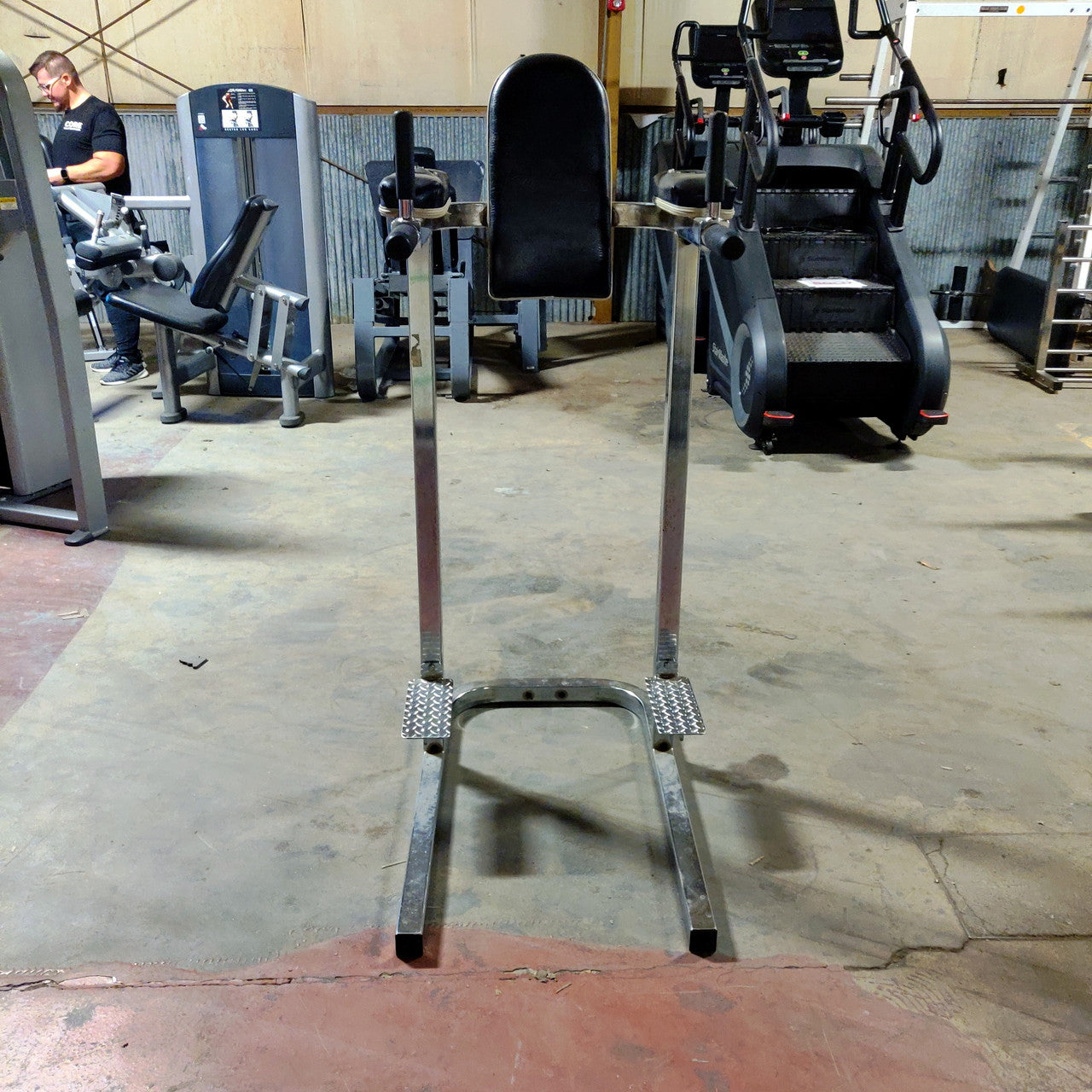 Vertical Knee Raise and Dip Station