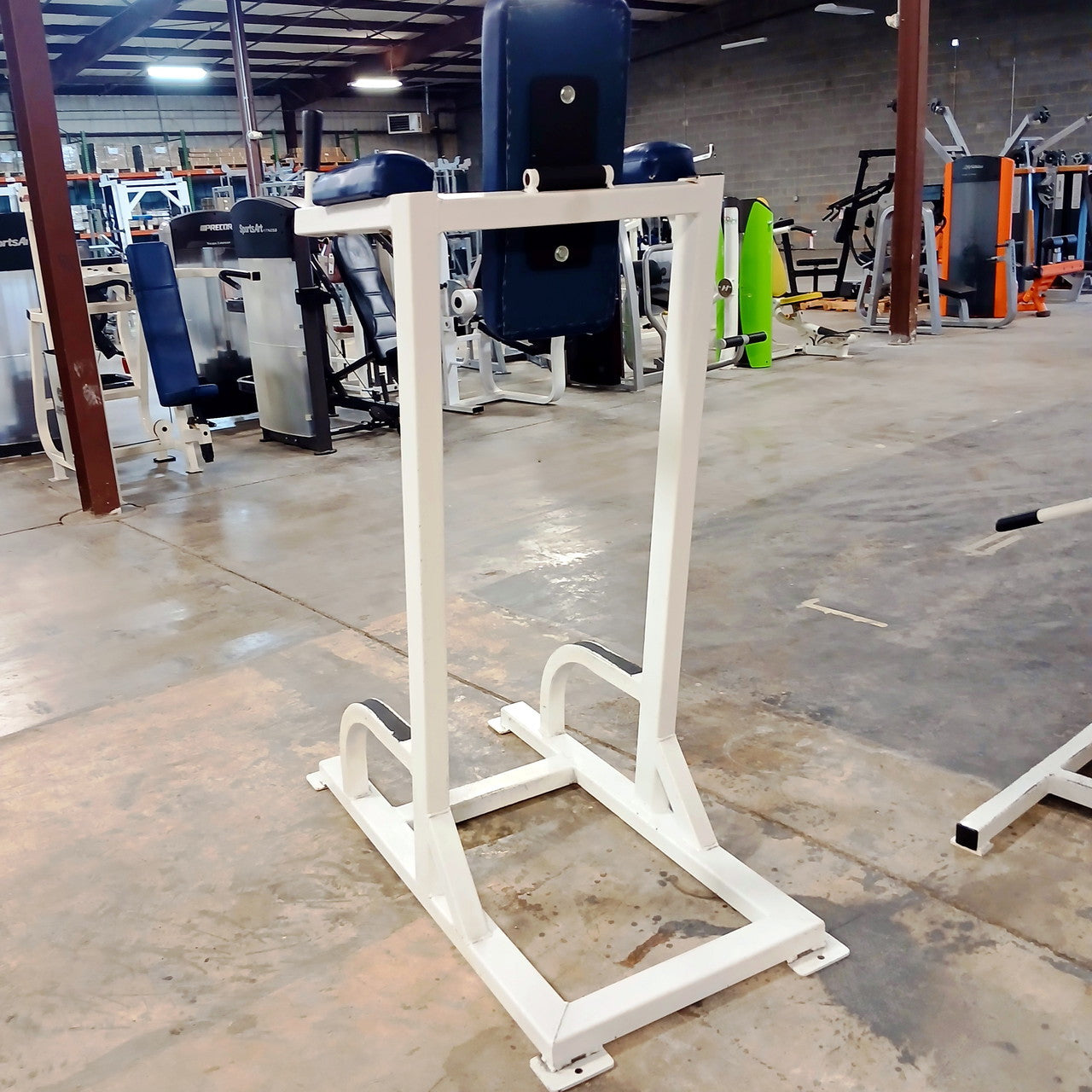 Vertical Knee Raise with Dip Station for Abdominal and Core Training