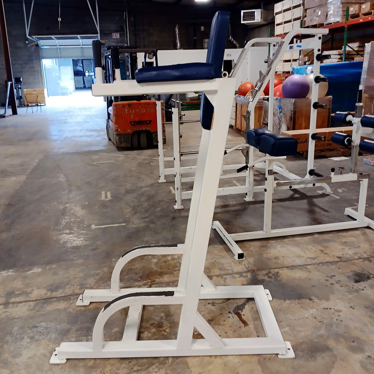 Vertical Knee Raise with Dip Station for Abdominal and Core Training
