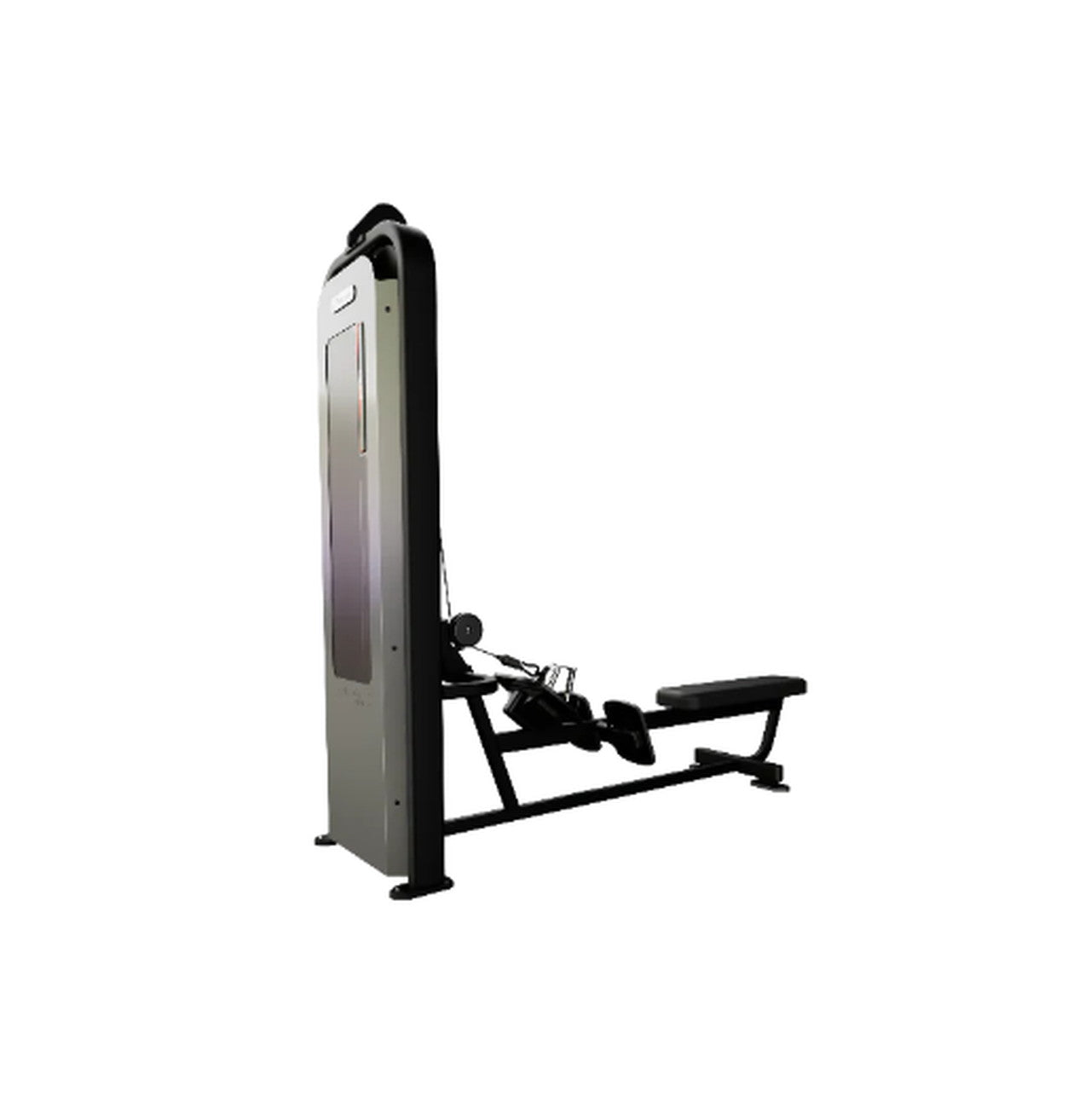 Nautilus Impact Low Row